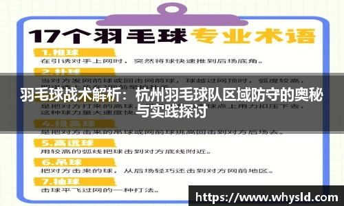 羽毛球战术解析：杭州羽毛球队区域防守的奥秘与实践探讨